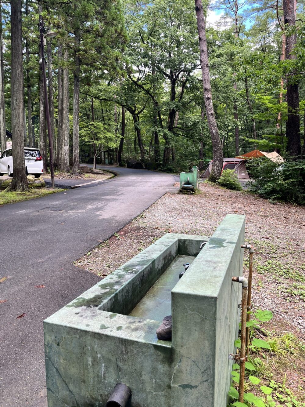 林間の通路沿いにある水場
