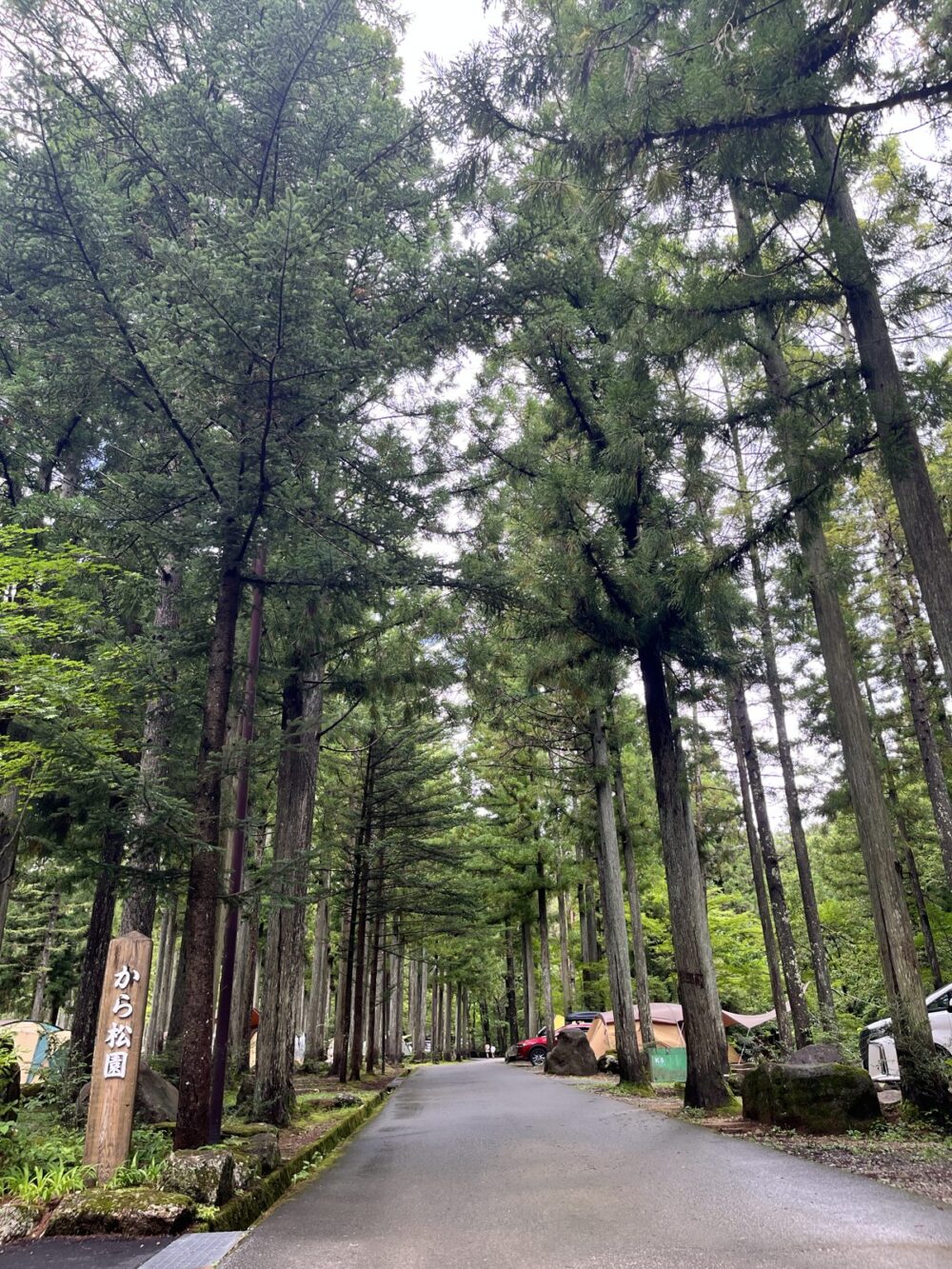 から松園の案内看板と林間の通路